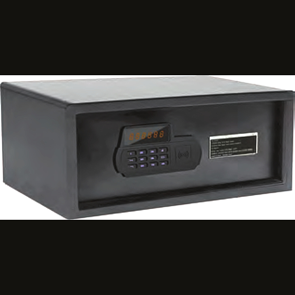 LRSB 205